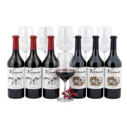 Lote Experiencia Vivancos 674