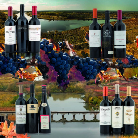 CAPRICHO DEL DUERO 6 BOT  REF. 714